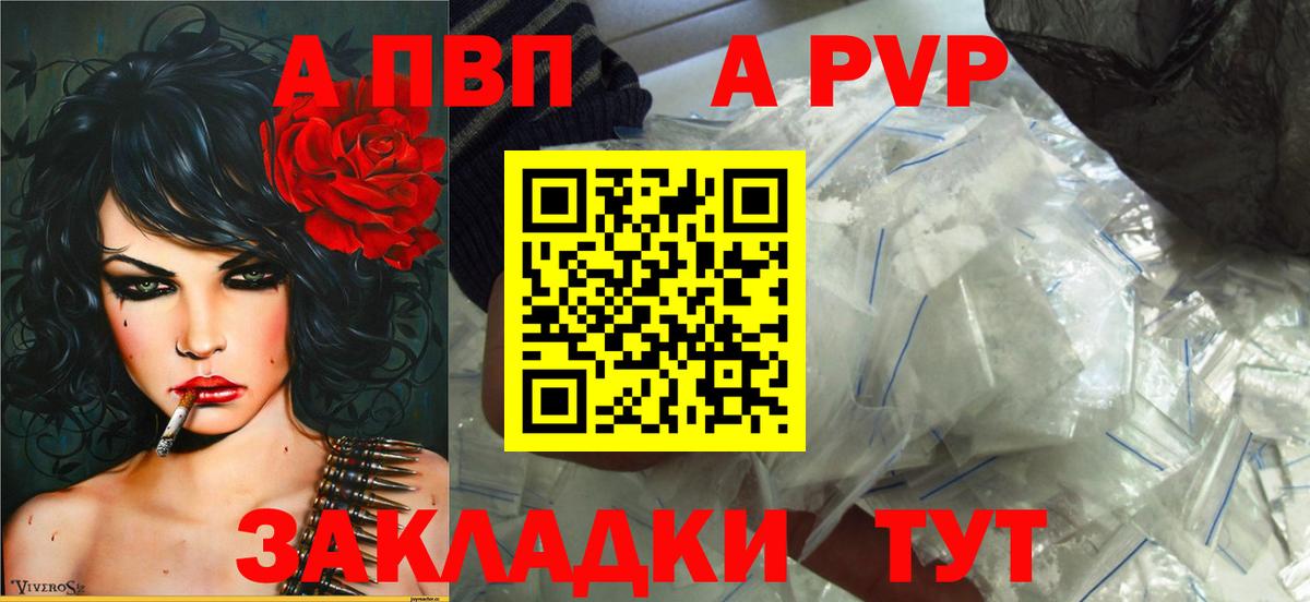 Альфа ПВП СК КРИС Тосно