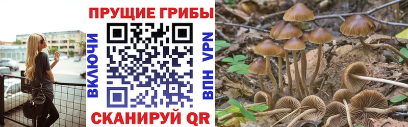 Галлюциногенные грибы прущие грибы  кракен как зайти  Тосно  купить наркотик 