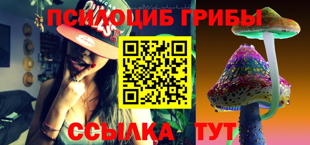 Псилоцибиновые грибы GOLDEN TEACHER  Галлюциногенные грибы Psilocybe  Вход с VPN  Тосно 